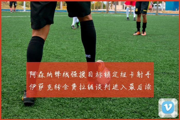 阿森纳锋线强援目标锁定纽卡射手伊萨克转会费拉锯谈判进入最后读秒阶段