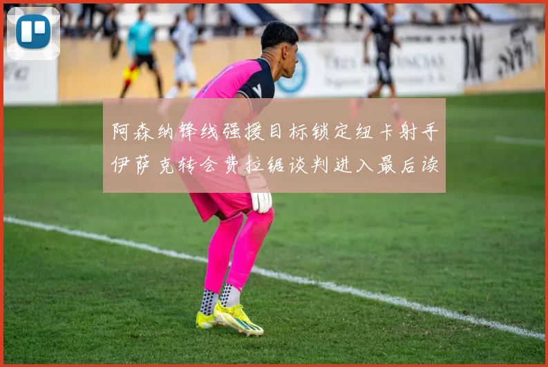 阿森纳锋线强援目标锁定纽卡射手伊萨克转会费拉锯谈判进入最后读秒阶段