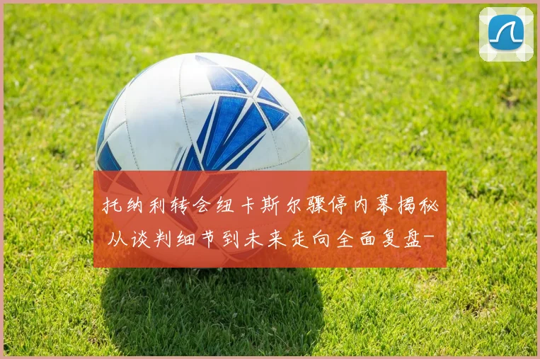 托纳利转会纽卡斯尔骤停内幕揭秘 从谈判细节到未来走向全面复盘